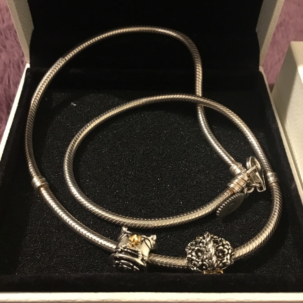 NWOT Pandora 925 ALE Snake Chain & Rare Forever Bloom Basket Charm Set